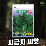 씨드코리아 사철왕 시금치씨앗 - 당도 높은 사계절 재배용 : 모종과씨앗