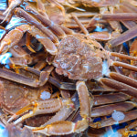 러시아 대게 2kg 3kg 4kg 5kg 6kg 러시아대게 자숙대게 마가단 : 골드씨