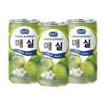 참맑은 매실 캔 175ml 30개 : 태동마트
