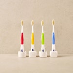 폴린스큐린항균칫솔 성인용20개입 플라그제거 칫솔살균기 미국수출 : 큐린항균칫솔