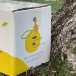 50포입 직접 키운 나주배로만든 도라지배즙 NFC 과채주스 : 해곳간