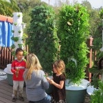 스마트팜 수경재배기 식물재배기 식물 가정용 재배 야채 : 더 미리내 샵