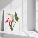 카라 꽃그림 액자 북유럽 포스터 보테니컬아트 인테리어 플라워 액자 식물 그림 선물 벽장식 : 쇼핑버디