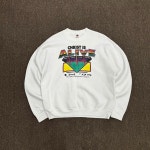 90s 프룻오브더룸 스웻셔츠 맨투맨 made in USA (XL) : 구공웨이브