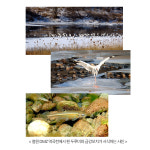 칼슘이온 쌀 10kg 키클아이 뼈건강 24년 햅쌀 : 게르마늄농장