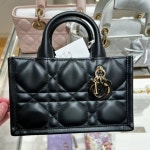 [국내백화점/AS가능] 디올 북토트 미니 까나쥬 송아지 가죽 : 럭스스튜디오