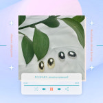 가벼운 알콩 핸드메이드 무알러지 투명침 실리콘 귀걸이 : Moonoceansound