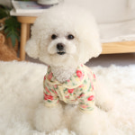 플라워카라후리스 강아지옷 : 스타일멍멍