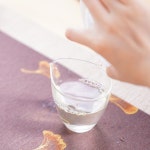 정산당 락견화 특급 쟈스민 녹차 50g 틴케이스 : 정산당