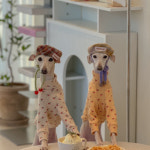 Cherry T (2color) - 소소한지 이탈리안그레이하운드옷 : 소소한지