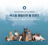 고양이 사료 넥스탑 패밀리캣 전연령 10kg 길냥이 길고양이 대용량 고양이밥 : 해피와야옹이