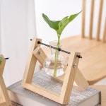 꽃병 교체 홈 유리 용기 투명 액세서리 데코 유리병 수경재배 : parayo스토어