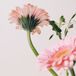 [안양/원데이클래스] 사진, 처음부터 차근차근 원데이 워크숍 : 스튜디오 너울