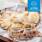 촉촉한 반건조 오징어 피데기 5미 2미 : 숨비해물