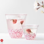 아델리아(ADERIA) 생일   선물 F79436 : 모던마켓무역