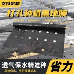 농사용 고추비닐 주말농장 텃밭농사용 유공 멀칭비닐 : 푸들앤베어