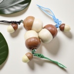 도토리 도장 도토리 나무 도장 : 드림지기샵