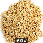 더알찬곡물 수입 귀리 곡물 2kg, 2개 : 슈퍼푸드는 대한농산