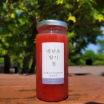 바르17 제주 백년초 딸기청 300g 수제청 과일청 선물 세트 기념일 행사 답례품 딸기라떼 : 바르17