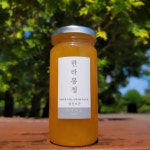 바르17 제주 한라봉청 300g 수제청 과일청 고급 차 선물 세트 행사 단체 답례품 : 바르17