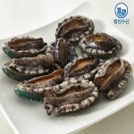 청진수산 진도 활전복 1kg (7,8미) : 나만의코디옷장