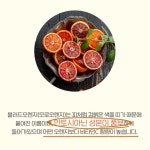 레드오렌지추출물 헤스페리딘 당귤 블러드 모로오렌지 정 알약 타입 : 리치부엉이