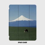 Ipad case Grassland Snow Mountain 아이패드케이스 풍경 뷰 맛집 : 놀러와요 우리네집