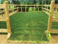 천연잔디보호 인조 국산 튼튼한 보행로 간편한 조립 흙쓸림 방지 잔디보호매트(30x30cm) : 다이데코카페트