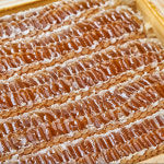 [서울/수도권 당일직배송 퀵배송가능][임실 벌꿀 농장]요거트 업소용 도소매 전용 프리미엄 그릭 요거트 아이스크림용 사양 양봉 벌집꿀... 