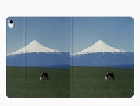 Ipad case Grassland Snow Mountain 아이패드케이스 풍경 뷰 맛집 : 놀러와요 우리네집