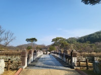 캔디투어 [부산출발] 단양팔경유람선투어 식사제공 국내당일치기여행 가을 가볼만한곳 : 캔디투어