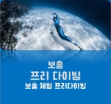 [보홀 프리다이빙]전문 다이빙 센터에서 즐기는 체험다이빙 : 봄봄투어