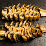 국산 산지직송 장어 필렛 택배 양식 민물장어 1키로 : 식화점