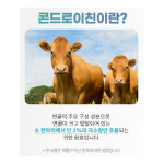 소연골 콘드로이친 프로테오글리칸 콘도로이친 소유래 효능 60정, 1개 : 트러스웰