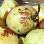 산지직송  햇 사과대추 고당도 대왕 생 대추 경산 건대추 : 문현상회 1987