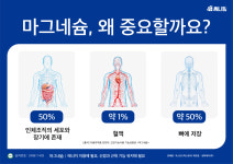마그네슘 350 플러스 B6 피로회복제 마그비 180정 약6개월분 : SUNNY팜