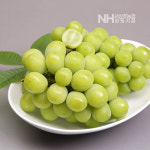 서상주농협 화동지점 샤인머스켓 2kg : 서상주농협 화동지점