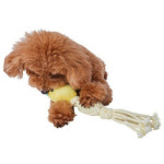 [페티오] 강아지 로프 장난감 - 치석케어 에드메이트 병아리 덴탈 터그 : 와우한빛