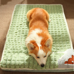 극세사 커버분리 강아지 메트리스 푹신한 반려견 쿠션 애견 방석 : 메가트렌드mall