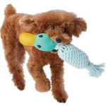 [페티오] 강아지 로프 장난감 - 치석케어 에드메이트 오리 덴탈 터그 : 와우한빛