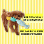 [페티오] 강아지 로프 장난감 - 치석케어 에드메이트 오리 덴탈 터그 : 와우한빛