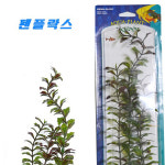 펜플락스 아쿠아 플랜츠 [P-12GR] : 상아쿠아 스토어
