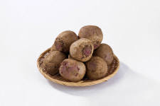 제주비트 100% 국내산 비트 슈퍼푸드 청정 제주 건강 자연 : 좋은열매 농장