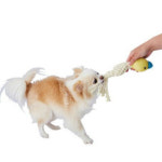 [페티오] 강아지 로프 장난감 - 치석케어 에드메이트 병아리 덴탈 터그 : 와우한빛