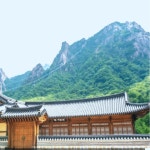 설악산 단풍 길 걷기 속초 여행 : 유진투어