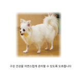 [페티오] 일본제작 강아지 덴탈 장난감 - 오리지널 칸데루 콘 트위스트 치킨풍미 S : 와우한빛