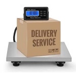 디지털 대형 저울 드레텍 톤 계량 주방용 전자 축사 화면 무게 주방 150kg/0.05kg(배터리) : 재민이네4