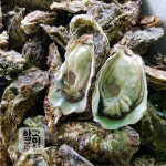 통영 고수압 솔세척 프리미엄 입망 석화 굴 3kg (조개칼+회조장증정) : 통영 굴이야기