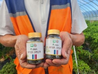 혈당내림 원기2호 고춧잎환  100g 2통 농촌진흥청 무농약 속리산자연농산 AGI 74.8% : 예스내추럴