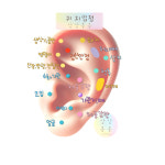 900개 이혈침 귀석 이혈테라피 지압 귀이 침 : 상상봉봉